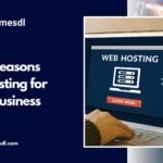 Top 7 Reasons VPS Hosting for Small Business